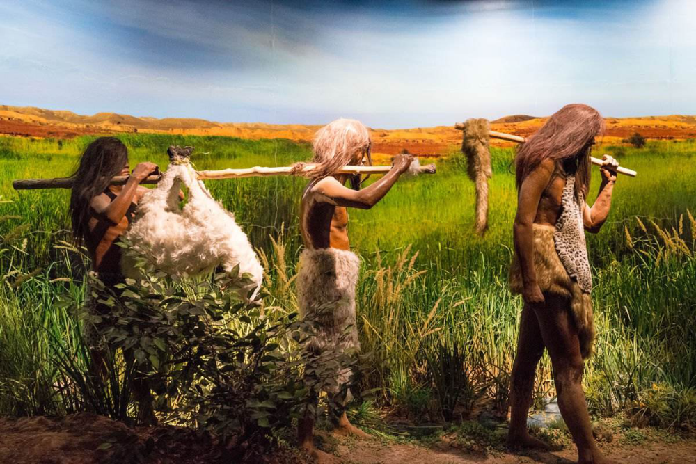 原始人也吃 "野味",为什么没有灭绝了?科学家这样子解释