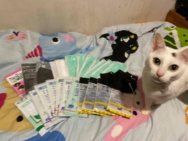 猫奴用天然 毛料 制口罩被网友 哄抢 幽默回应 猫没毛掉了 腾讯新闻