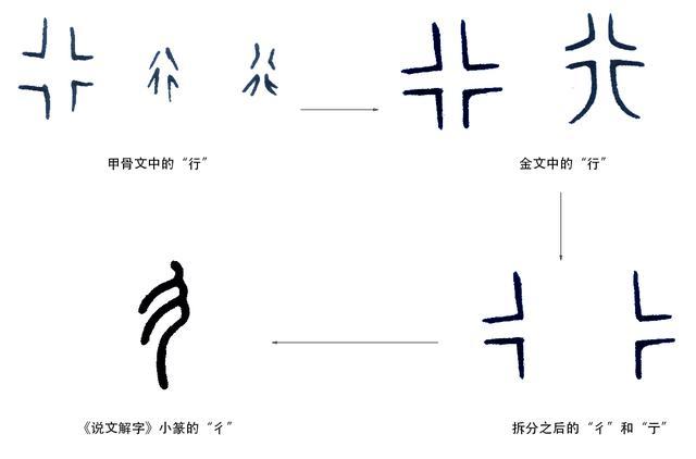 该如何正确理解 彳亍 这个词 许慎 说文解字 汉字 甲骨文