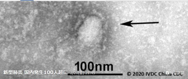 日本国内新型冠状病毒感染超740人 东京紧急中止500人以上活动 新型冠状病毒 东京 日本 社会 北海道 埼玉县 东京都