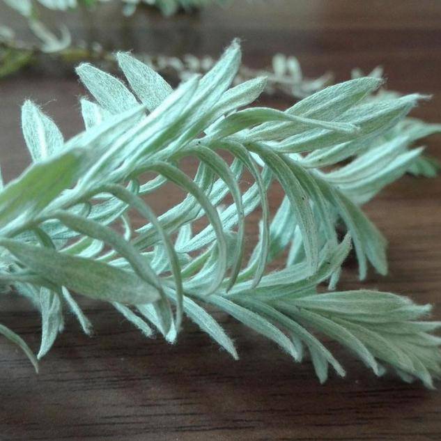 腾讯内容开放平台