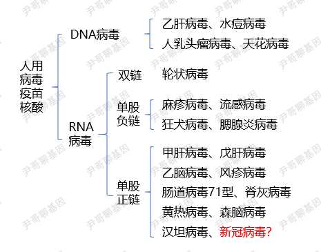 3月16日,美国的凯撒永久华盛顿研究所开始了新冠疫苗的临床试验,向