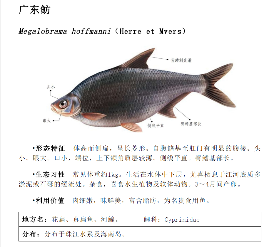 鱼竿使用一定注意这3点 轻松让你鱼竿多用2年 腾讯新闻