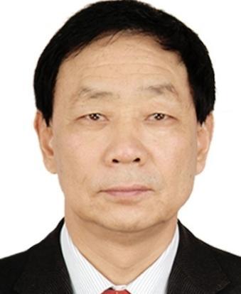 李留法,李凤娈夫妇(160亿元)安康,出生于1949年2月,河南辉县人,毕业于