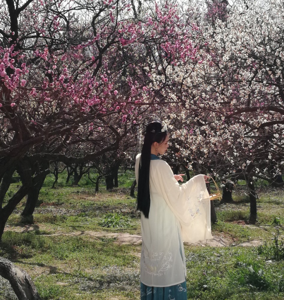 梅花香自苦寒来 腾讯新闻