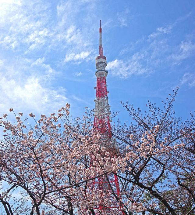 全球城市人口数量排行榜 国内一城上榜 备受游客喜欢不是北上广