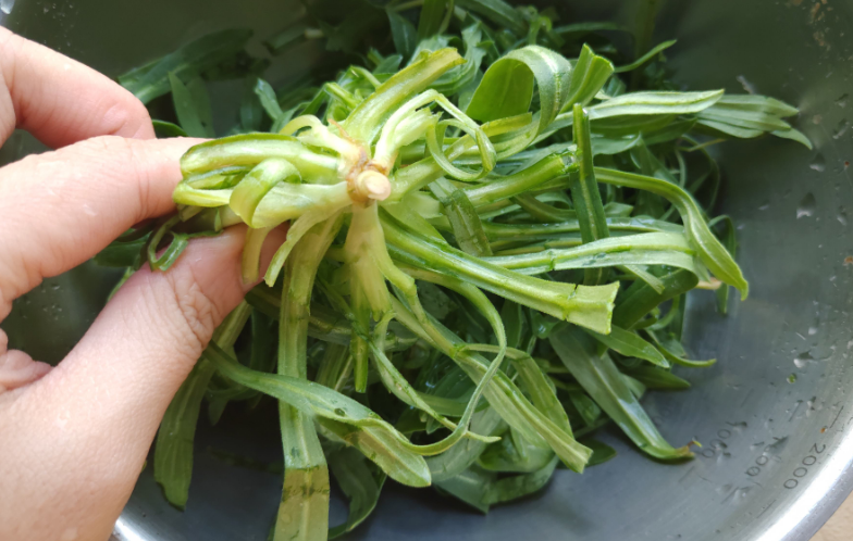 二月,这种野菜最当时,每天炒一盘,润肺止咳,胜过止咳药!_腾讯新闻