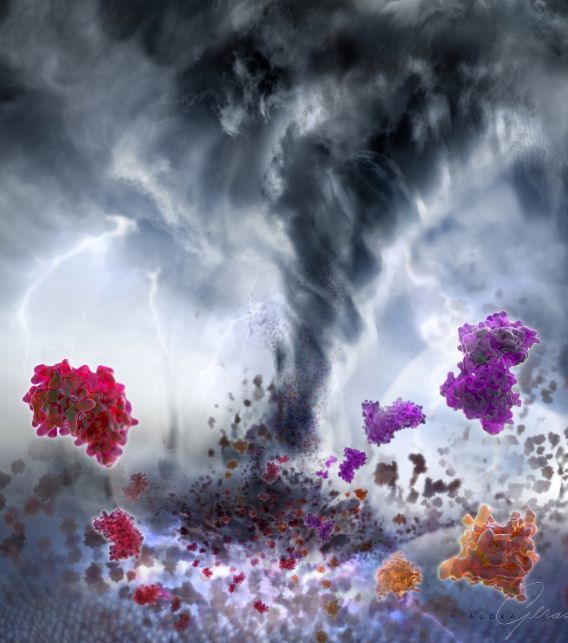 炎症风暴:人体免疫系统,是怎样反噬自身的?