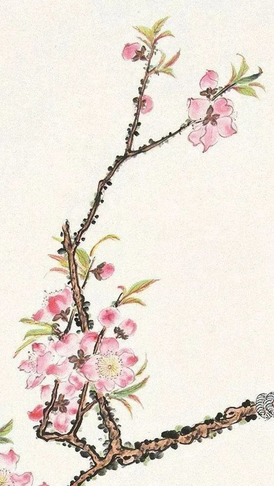 桃花,鹦鹉,真美!