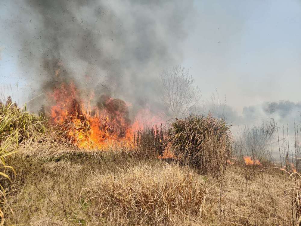 南昌户外大片干草地突发大火消防紧急救援