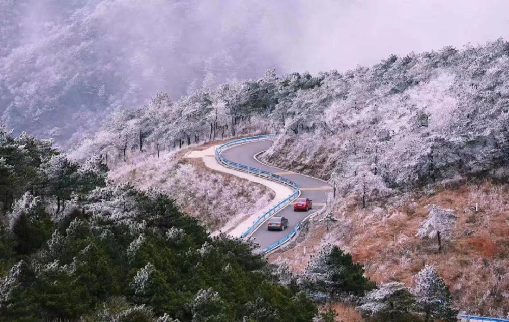 云游咸宁 | 走！带你去看九宫山上的云淡风轻~(图22)