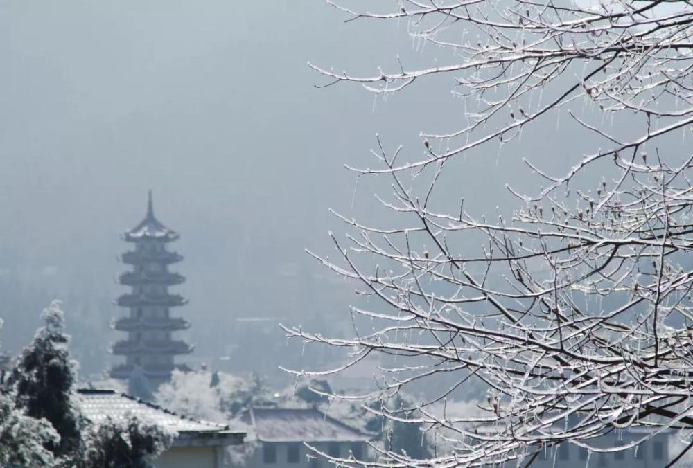 云游咸寧 | 走！帶你去看九宮山上的云淡風(fēng)輕~(圖27)