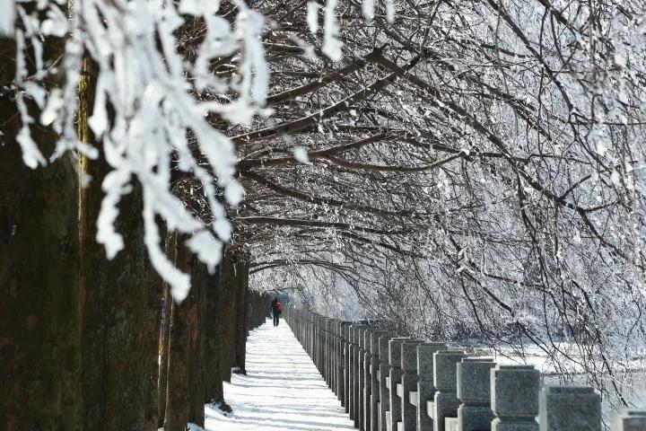 云游咸宁 | 走！带你去看九宫山上的云淡风轻~(图29)