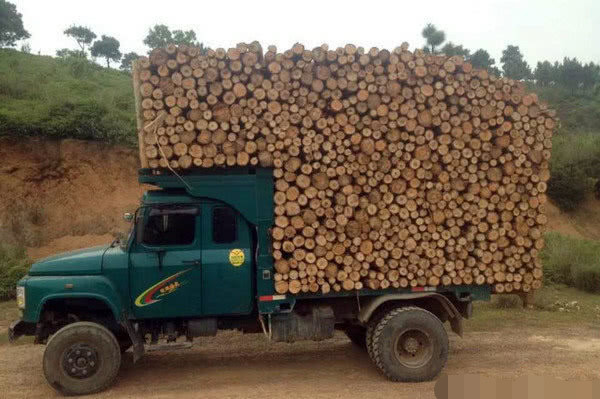 价格不到5万块的农用货车广西钦机为何敢称拉木头神车