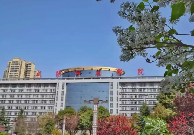 开学日一起向咸师报到