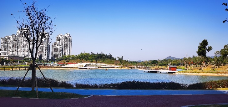 珠海香山湖,被辜负了的春光!
