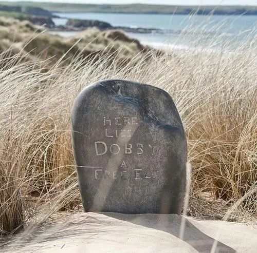 电影《哈利·波特与死亡圣器(上)》中多比之墓 图文来源:《哈利·波特