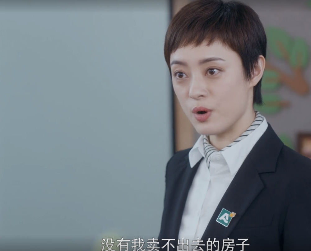 电视剧安家数一数剧情的硬伤