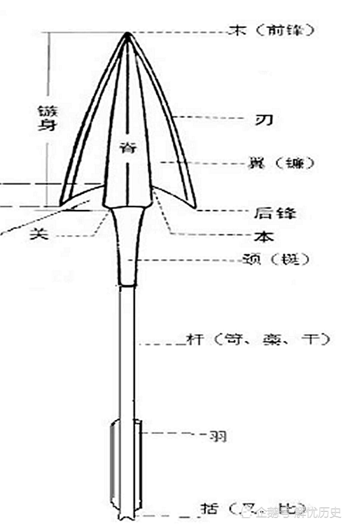 兵马俑不合常理的"高科技"箭镞,将刃部放大80倍后,才知有多牛