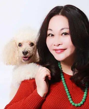 又一童年回忆结局马小跳娶了老婆还当上了市长