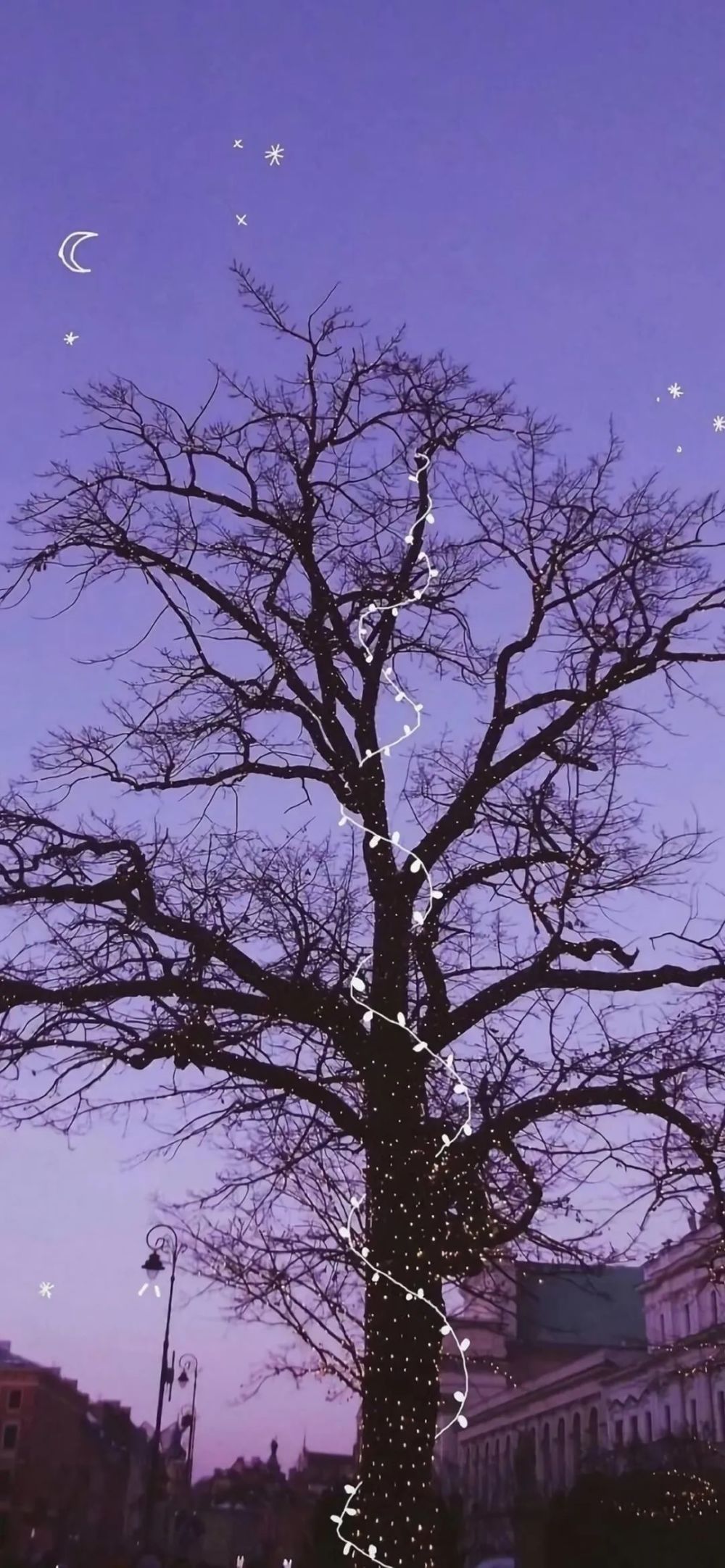 壁纸很紫很紫很紫的紫色壁纸