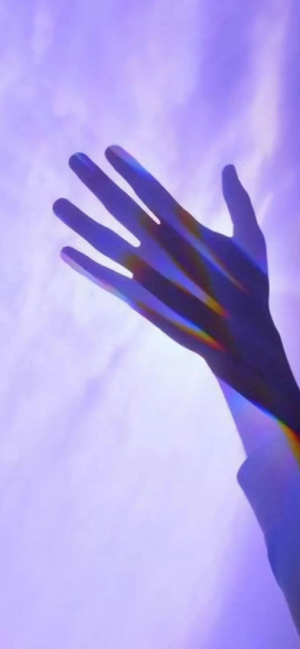 壁纸 很紫很紫很紫的紫色壁纸 腾讯新闻