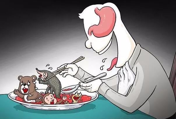 人类不能吃的十大野味排行蝙蝠第一最后一个不少人吃过