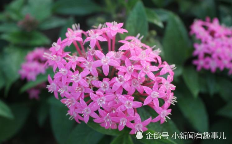 从2月25号开始好运降临 财源广进 收获满满的星座 腾讯新闻