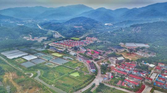 福建龙海双第华侨农场积极投身疫情防控 守护家园
