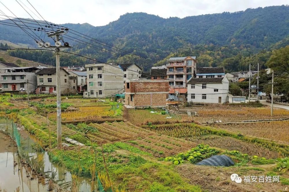 途经福安潭头枢洋村,探寻村后山顶的秘密