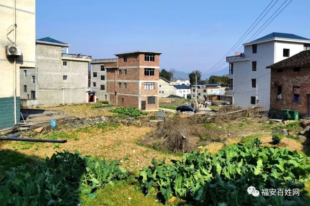 途经福安潭头枢洋村,探寻村后山顶的秘密