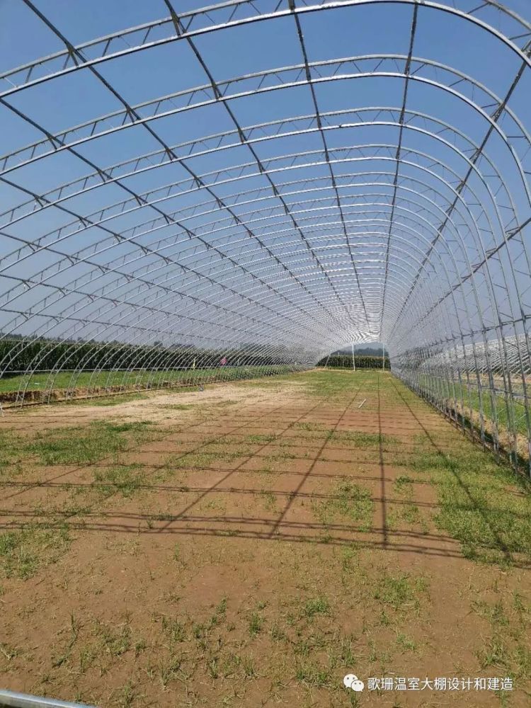 双拱双膜c型钢日光温室大棚的弊端