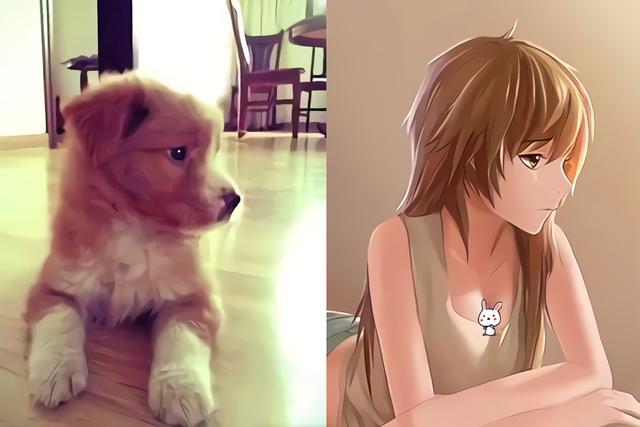 当三次元生物落入到漫画师的手中 拟人化的它们着实令人惊艳 喵娘 柴犬君 熊猫直播 漫画 三次元