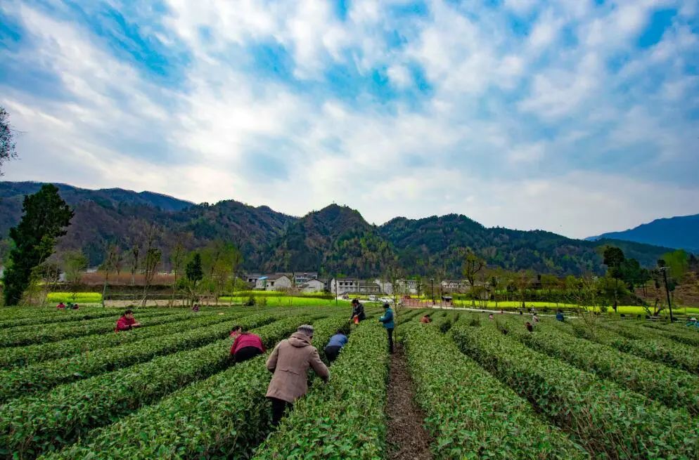 疫情过后陕西最适合康养的地方竟然是这里