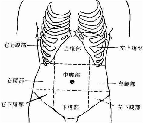 女性下腹三角区疼痛图片