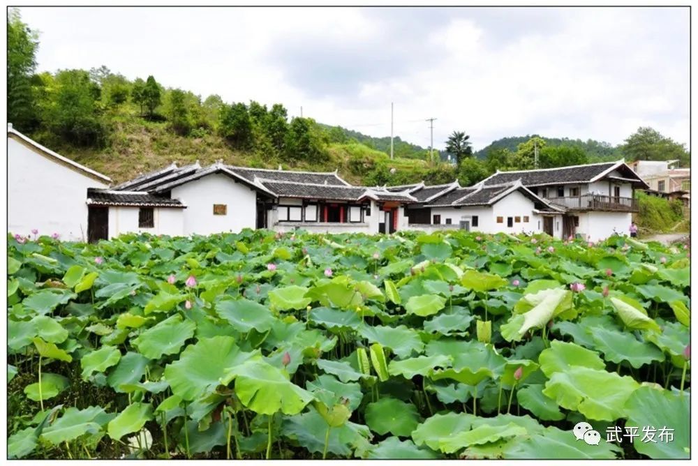 武平多个村落入选!第三批省级传统村落名单公示中