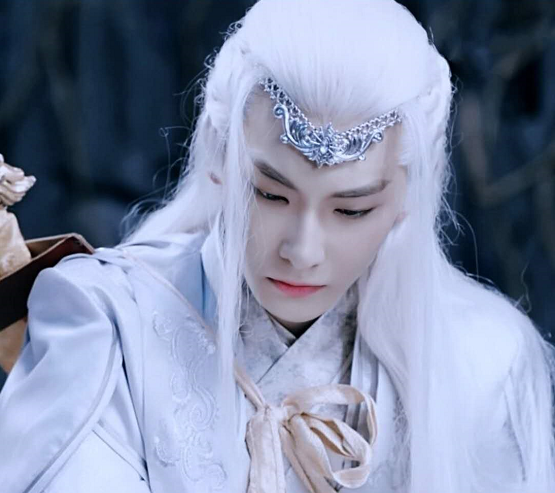 然后要看的第三个就是王瑞昌曾经所饰演的大皇子了,双世宠妃这部剧是