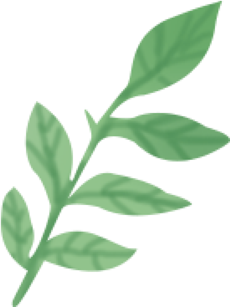 石景山区|森林城市天然氧吧，暑伏之际，来石景山开“森”一夏