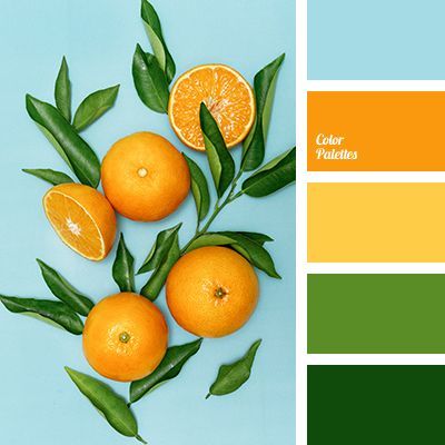 在配色上来说,橘色的确非常适合做春天用色,无论是冷调还是暖调,都能