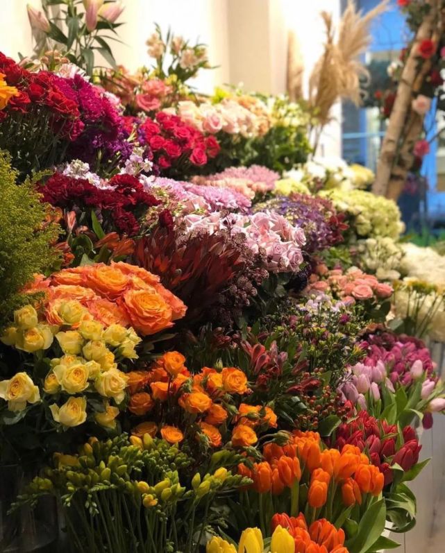 腾讯内容开放平台