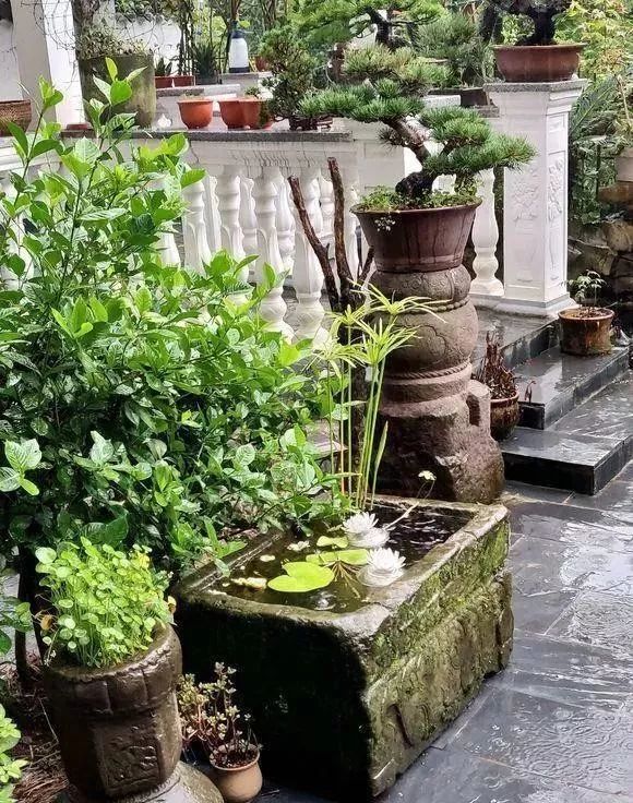 别墅主体完工,再花8万建了个庭前小院,建成后像是古典园林
