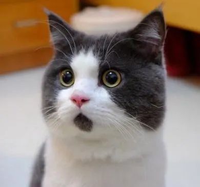 郭强：加重新冠病毒肺炎的血流动力学等变化u2014u2014阻击新冠权威在线_腾讯新闻