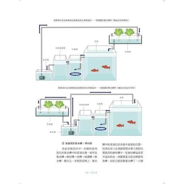 鱼菜共生 维基百科 想学鱼菜共生吗 从这本开始 鱼菜共生自学指南 腾讯新闻