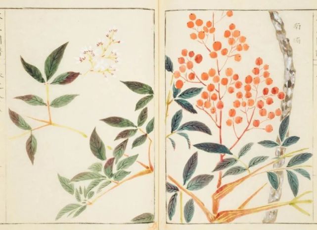 腾讯内容开放平台