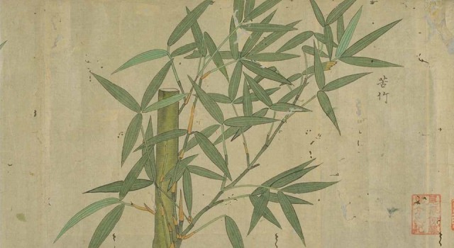 石寿竹谱》-一部描绘竹子画谱_腾讯新闻
