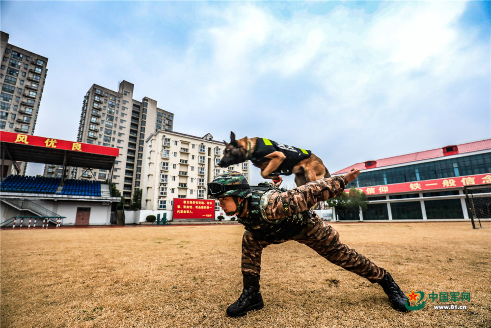 硬核突击!武警特战队员沙场锤炼实战能力_腾讯新闻
