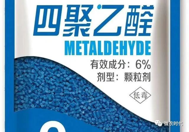 防治蔬菜蜗牛时 这样使用四聚乙醛 杀虫效果没得说 腾讯新闻