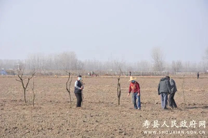 窑口镇抓好农林生产带动贫困人口致富