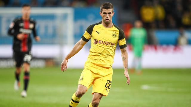 普利西奇是克罗地亚裔的美国人,雷纳的父亲克劳迪奥是有阿根廷和