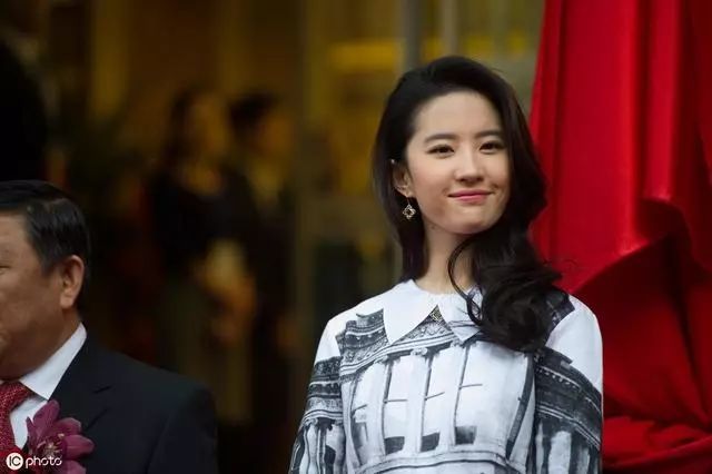 骨相好,皮相也很好,鹅蛋脸,五官精致,鼻子完全的神来之笔,肤如凝脂,硬